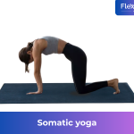 Somatic Yoga Poses