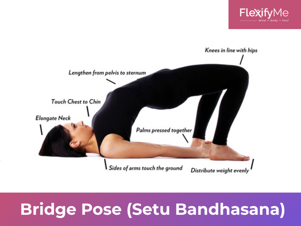 Bridge Pose (Setu Bandhasana)