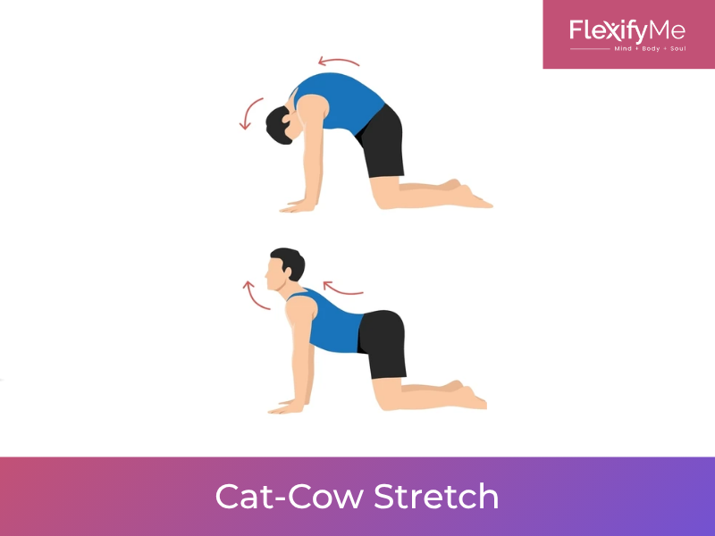 Cat-Cow Stretch