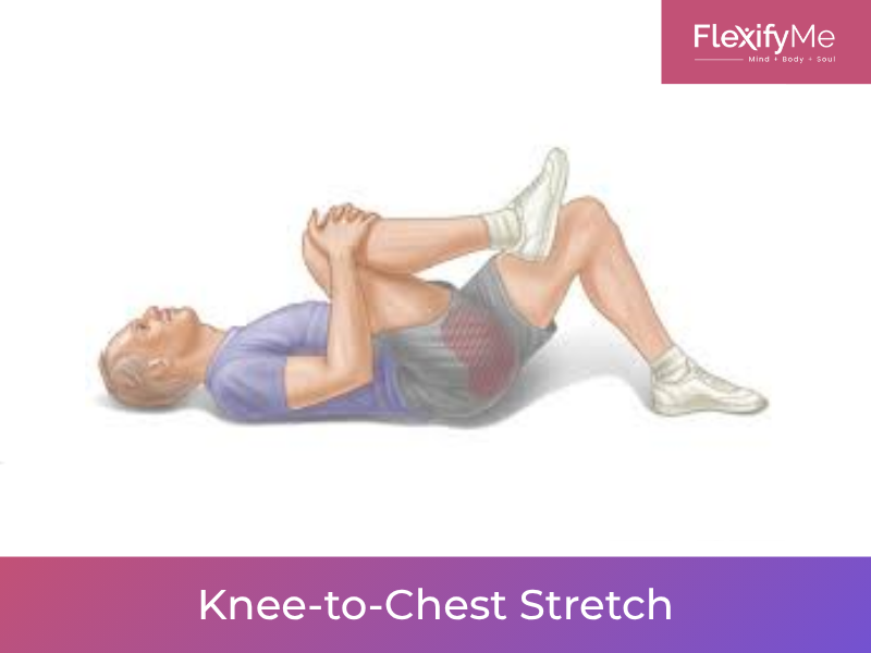 Knee-to-Chest Stretch