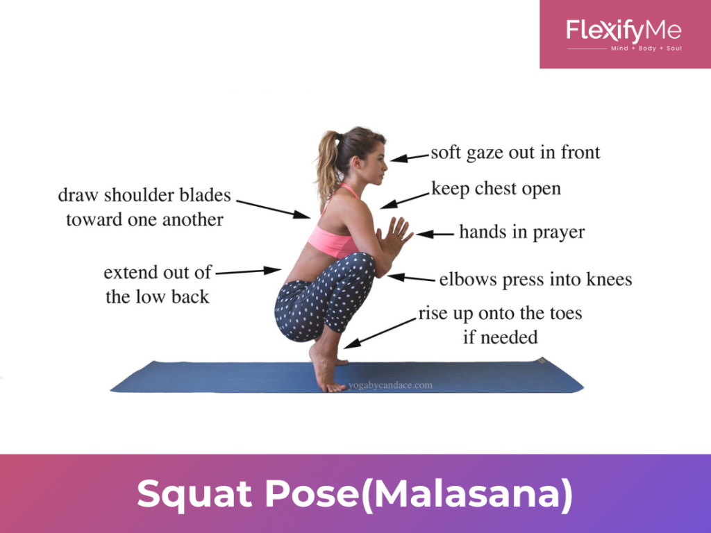Squat Pose(Malasana)