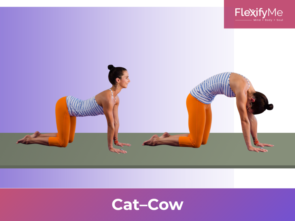 Cat–Cow