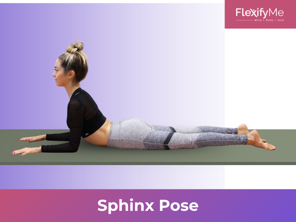 Sphinx Pose